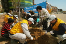 르노삼성차, 식목행사 가져