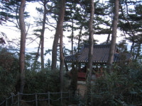 우거진 송죽, 파도소리가 손짓한다