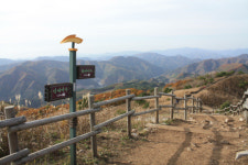 출렁이는 은빛 물결, 황홀한 가을색