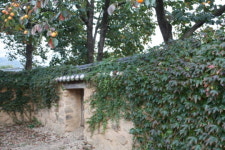 고택에 스민 숨결과 가을 서정 만끽