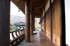 도시 삶 내려 놓고 예서 머물고 싶다