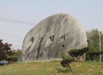 장미보다 붉고 향기로운 순교의 땅