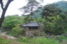 솔바람 계곡물소리 벗삼아 거닐며…