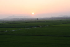 들판을 누비는 저 것은 바람인가, 자유인가