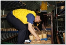 [천안서]농촌사랑 봉사활동 펼쳐