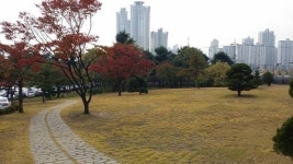 경북도청 산격동 시대의 마지막 가을 정취