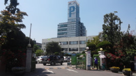 [도봉서]종소세 신고, 납세자들 편의 위해 최선 다해