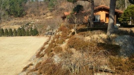 기성용 개인전용 잔디구장? 광양시 명소로 떠올라