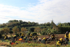 [김포서]일손 부족 농가에 고구마 캐기 봉사활동