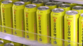 롯데칠성, 쥬시후레쉬맥주 등 이색 수제맥주 생산 나선다