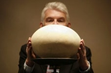 [포토] 거대한 코끼리 새의 알