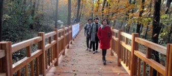 서초구, 우면산 등산로 새단장 끝내고 선보여