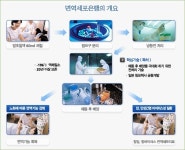 간암 재발을 막는 면역세포치료
