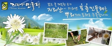 정월대보름, 2011년 건강은 지리산민들레로