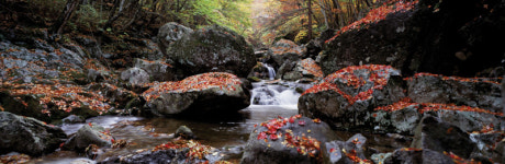 뉴-포토클럽, 제 51회 회원 사진전 개최