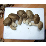 영양만점 표고버섯 요리로 봄철 입맛과 건강까지 챙겨볼까?