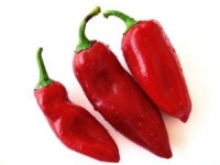 ‘남성 무기’ 갈수록 짜리몽땅해지는 이유