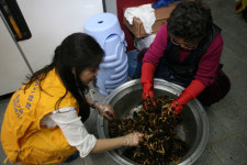 건협 사랑봉사단, 무료급식지원 자원봉사