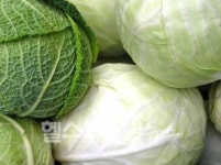 암 발병 줄이는 12가지 식이요법