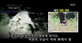 빅풋 실존 증거 … 빅풋이 만들었을 집과 유사한 집 발견