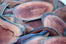 “사슴 광록병, 의약품 녹용과 무관”