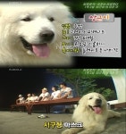 1박2일 상근이 ‘폭소클럽2’ 깜짝 등장 인기확인