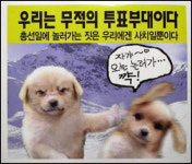 ‘상근이열풍’ 원조국민견 개죽이를 아시나요?