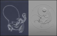 서태지측 재킷 표절논란 일축 “태아, 날개 이미지 98년부터 사용”