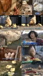 미운오리새끼 엄마 ‘꼬꼬댁’의 별난 모정 (TV동물농장)