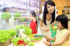 [포토엔]도심 속 식물농장 ‘행복가든’ 유기농 야채 재배부터 판매까지 한눈에~