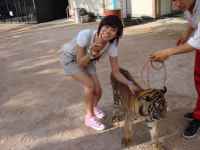 카라 한승연-강지영 동물 버라이어티 ‘아이러브펫’ MC발탁