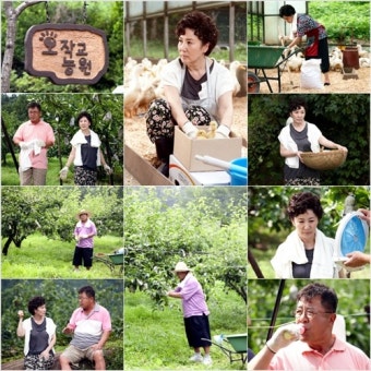 김자옥-백일섭 살신성인 땡볕 아래 열연, 후배들 귀감