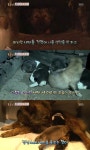 ‘동물농장’ 아궁이에 새끼낳은犬 깜이 사연 ‘뭉클’