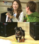 예은 애완견 니뇨 공개 ‘인간의조건’ 숙소 귀요미 등극
