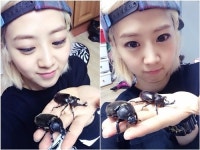 베스티 혜연 장수풍뎅이와 셀카 ‘걸그룹 이색 취미’