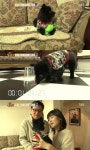 ‘동물농장’ 천재견 꼬미, 실제 지능테스트 해보니..‘반전’