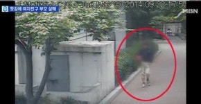 대구 중년부부 피살사건, CCTV 담긴 장면보니 ‘충격’