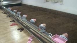 홍염천, 영천 곰탕골목, 해비알마을 쌀겨찜질방 ‘한파 명소‘(VJ특공대)