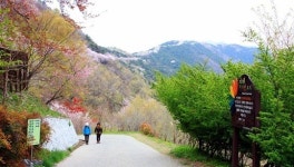 창원 마산 진해 둘레길 통합, 142.6㎞ 둘레길 ‘힐링 명소 되나’