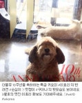 이효리 순심이, 일상이 화보 ‘독보적 패셔니스타’