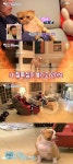 ‘아빠를부탁해’ 이경규 집, 강아지까지 눈빛연기 ‘질투폭발’