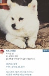 ‘삼시세끼’ 졸음 가득 밍키 “아무 생각 없다”