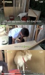‘삼시세끼’ 이서진, 위기일발 아기염소 구출 ‘이런 다정한 남자’