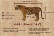 ‘대호’는 어떻게 조선 마지막 호랑이가 됐을까