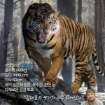 [카드뉴스] 최민식과 대호의 신세계