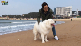 ‘개밥주는남자’ 주병진 “난 연애할 자격 안 되는 사람”