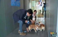 ‘개밥주는남자’ 주병진, 최화정에 “같이 삽시다”