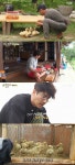‘삼시세끼’ 아재 개그X손오리, 꿀 조합이 따로 없네(종합)