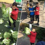 송일국, 어느새 김장까지 하는 삼둥이 근황 공개 ‘폭풍성장’
