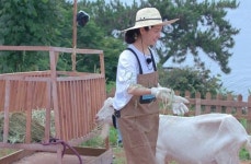 ‘삼시세끼 바다목장’ 한지민, 앞치마 두르고 목장일하는 여신 